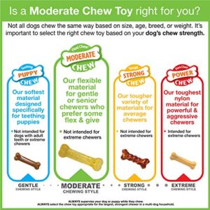 Nylabone Moderate Chew FlexiChew Bone Bones Peanut Butter & Bacon XX-Small/Tiny (2 Count)