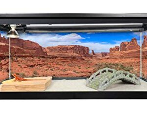 Reptile Habitat Background; Arches' Park Avenue for 20L, 3-Sided Wraparound