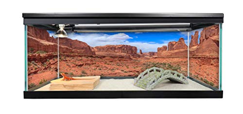 Reptile Habitat Background; Arches' Park Avenue for 20L, 3-Sided Wraparound