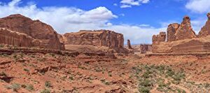 Reptile Habitat Background; Arches' Park Avenue, for 48Lx18Wx24H Terrarium, 3-Sided Wraparound