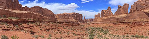 Reptile Habitat Background; Arches' Park Avenue, for 48Lx18Wx24H Terrarium, 3-Sided Wraparound