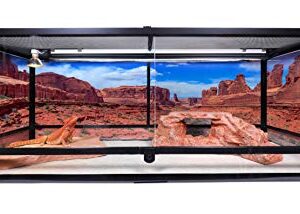 Reptile Habitat Background; Arches' Park Avenue, for 48Lx18Wx24H Terrarium, 3-Sided Wraparound