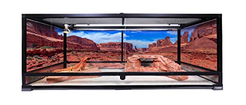 Reptile Habitat Background; Arches' Park Avenue, for 48Lx18Wx24H Terrarium, 3-Sided Wraparound