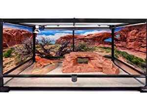Reptile Habitat Background; Double Arch with Tree, for 36Lx18Wx18H Terrarium, 3-Sided Wraparound