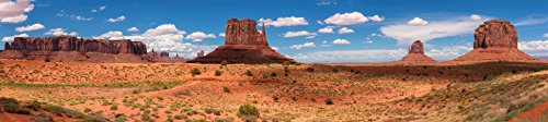 Reptile Habitat Background; Monument Valley Panorama, for 36Lx18Wx18H Terrarium, 3-Sided Wraparound