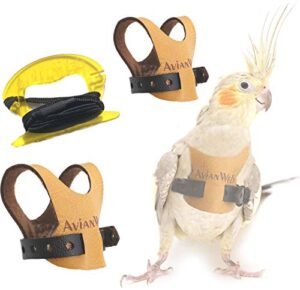 avianweb ez bird harness with 6 ft leash (cockatiels)