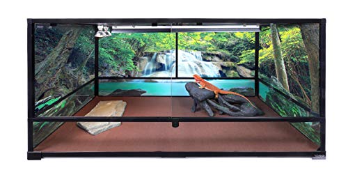 Reptile Habitat Background; Rain Forest with Waterfall, for 36Lx18Wx18H Terrarium, 3-Sided Wraparound
