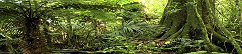 Reptile Habitat Background; Rain Forest, for 36Lx18Wx18H Terrarium, 3-Sided Wraparound