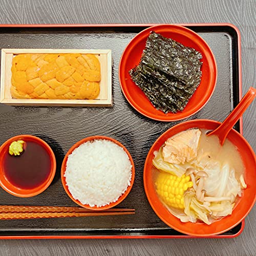 JapanBargain 4127, Large Japanese Serving Tay Plastic Lacquered Tray for Eating Tea Serving Tray Ottoman Coffee Table Tray TV Tray Butler Tray, Black and Red Color, Made in Japan, 19x14-1/2 inch