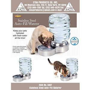 Etna Stainless Steel Pet Dog Cat Water Fountain Bowl, Holds 3 Liters