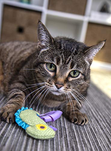 Petlinks HappyNip Crinkle Chameleon Cat Toy, Contains Silvervine & Catnip - Green, One Size