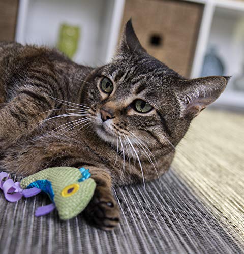 Petlinks HappyNip Crinkle Chameleon Cat Toy, Contains Silvervine & Catnip - Green, One Size