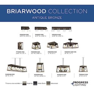 Briarwood Collection 4-Light Coastal Chandelier Light Antique Bronze