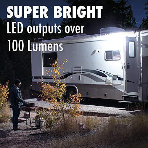 Lumitronics RV 12V LED Exterior Porch Utility Light - Clear & Amber Lenses (Black)