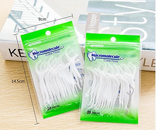 VNDEFUL 100Pcs(5 Packets ) White Dental Floss Picks Toothpicks Stick Oral Care