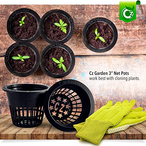 Cz Garden Supply 3 inch Net Cups Heavy Duty Pots Wide Rim Design - Orchids • Aquaponics • Aquaculture • Hydroponics Slotted Mesh for Kratky Wide Mouth Mason Jars