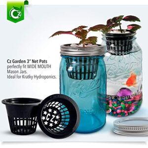 Cz Garden Supply 3 inch Net Cups Heavy Duty Pots Wide Rim Design - Orchids • Aquaponics • Aquaculture • Hydroponics Slotted Mesh for Kratky Wide Mouth Mason Jars