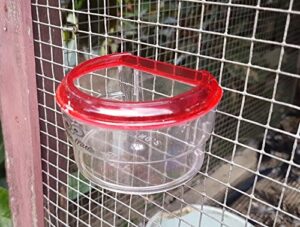 fast life plastic bird water cups feeder