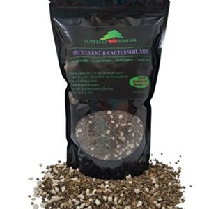 Succulent & Cactus Soil Mix - Premium Pre-Mixed Fast Draining Blend (1.25 Dry Quarts)