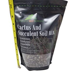 Succulent & Cactus Soil Mix - Premium Pre-Mixed Fast Draining Blend (1.25 Dry Quarts)