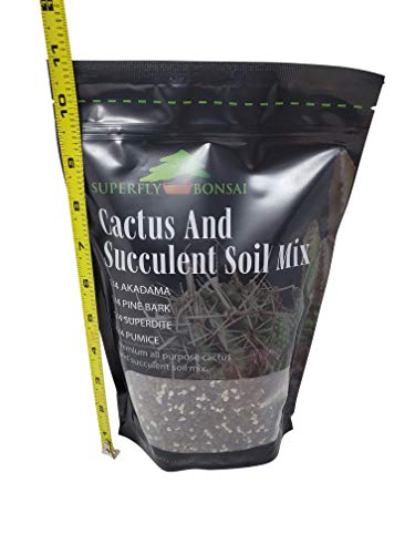 Succulent & Cactus Soil Mix - Premium Pre-Mixed Fast Draining Blend (1.25 Dry Quarts)