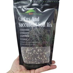 Succulent & Cactus Soil Mix - Premium Pre-Mixed Fast Draining Blend (1.25 Dry Quarts)