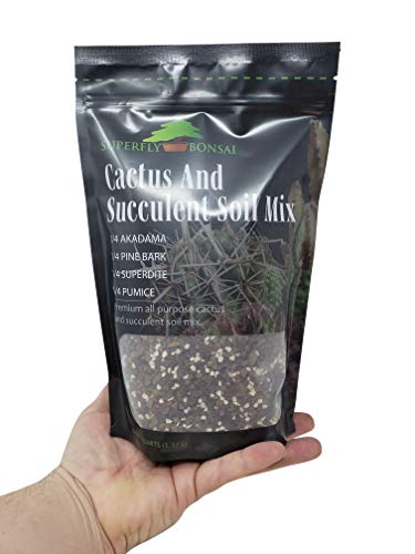 Succulent & Cactus Soil Mix - Premium Pre-Mixed Fast Draining Blend (1.25 Dry Quarts)