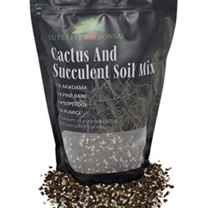 Succulent & Cactus Soil Mix - Premium Pre-Mixed Fast Draining Blend (1.25 Dry Quarts)