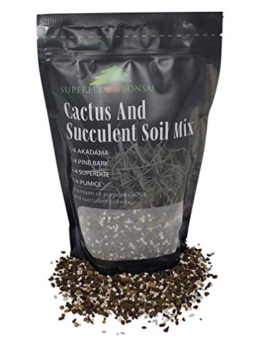 Succulent & Cactus Soil Mix - Premium Pre-Mixed Fast Draining Blend (1.25 Dry Quarts)