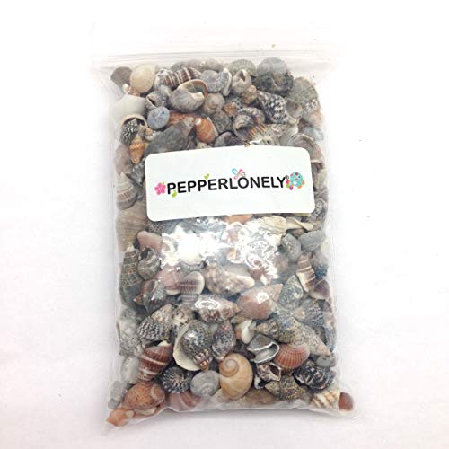 PEPPERLONELY Indian Ocean Small Mix Sea Shells, Small Shells Mixed, 8 OZ Apprx. 300+ PC Shells, 1/4 Inch ~ 1 Inch