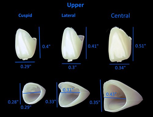 100 PCS Mixed Dental Temporary Crown Kit Anterior Front & Molar Posterior 50 of each