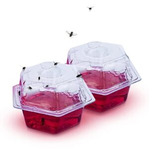 greenstrike 2-pack premium fruit fly traps for indoors | 2 pre-filled lures effectively trap flies indoors | easy effective and safe to use | food-based lure/bait catcher | red