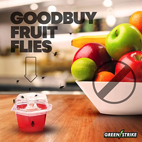 GREENSTRIKE 2-PACK Premium Fruit Fly Traps For Indoors | 2 Pre-Filled Lures Effectively Trap Flies Indoors | Easy Effective and Safe to Use | Food-Based Lure/Bait Catcher | Red