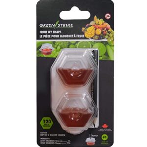 GREENSTRIKE 2-PACK Premium Fruit Fly Traps For Indoors | 2 Pre-Filled Lures Effectively Trap Flies Indoors | Easy Effective and Safe to Use | Food-Based Lure/Bait Catcher | Red