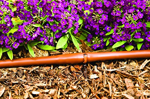 (100' ft Roll) - USA Made - 1/4-Inch x Irrigation/Hydroponics Dripline with 6-Inch Emitter Spacing (Brown) (100' Foot Roll)