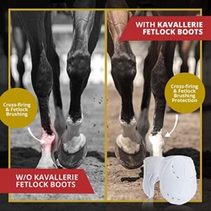 Kavallerie Classic Fetlock Boots, Impact-Absorbing and Air-Perforated Material, Durable & Evenly Distributes Pressure, Fetlock Injury Protection, Non- Slip with Soft Lining Show Jumping Boots