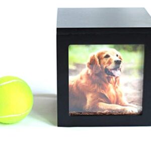 Heavenly Home Pet Keepsake Multiple Photo Cube Pet Urn for 1 to 4 Pictures Cremation Memorial for Pet Lovers Acrylic Glass Photo Protector Resting Place for Cat or Dog (90 Cubic Inches)