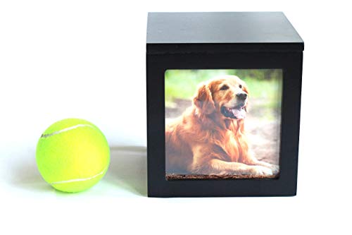 Heavenly Home Pet Keepsake Multiple Photo Cube Pet Urn for 1 to 4 Pictures Cremation Memorial for Pet Lovers Acrylic Glass Photo Protector Resting Place for Cat or Dog (90 Cubic Inches)