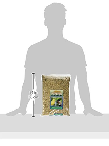 Rainforest Exotics Kaylor of Colorado AS-48921-2 4 lb (Pack of 2) Canary Finch Bird Food