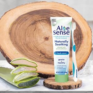 AloeSense Fluoride Toothpaste, Naturally Soothing Toothpaste Sensitive Teeth and Gum Care with Aloe Vera, Allantoin & Fresh Mint Flavor, Gentle & Natural Toothpaste, ADA Approved (5-oz, 1 Count)