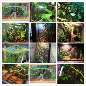 Jungle Vines Flexible Pet Habitat Decor for Lizards, Frogs, Snakes and Other Reptiles