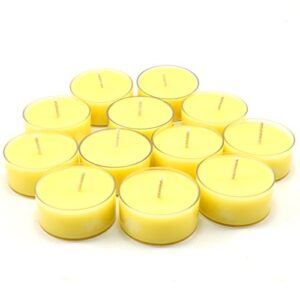 Candeo Candle Lemon Verbena Scented - Soy Tealight Candles, 12 Pack - Highly Scented - Handmade in The USA Summer Scents