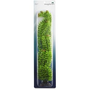 imagitarium extra large ambulia green plant
