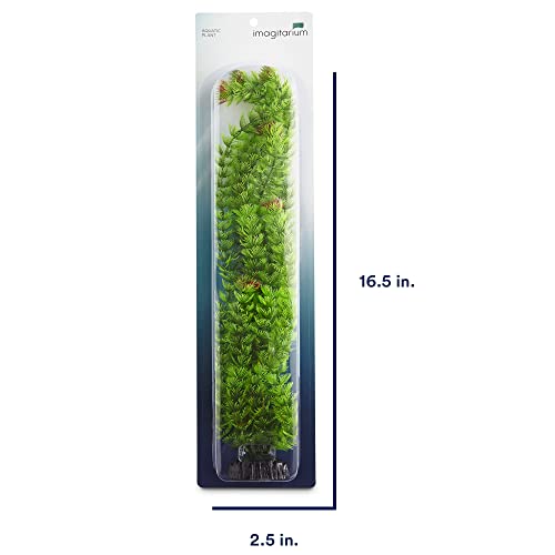Imagitarium Extra Large Ambulia Green Plant