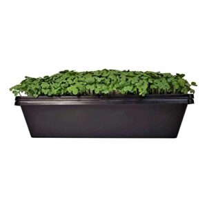 Bootstrap Farmer 1010 Seed Tray - Extra Strength Seedling Trays (No Drain Holes) - 10" x 10", 10 Pack, for Growing Microgreens, Wheatgrass Seeds, Hydroponic Germination, Fodder System 1020 Starter