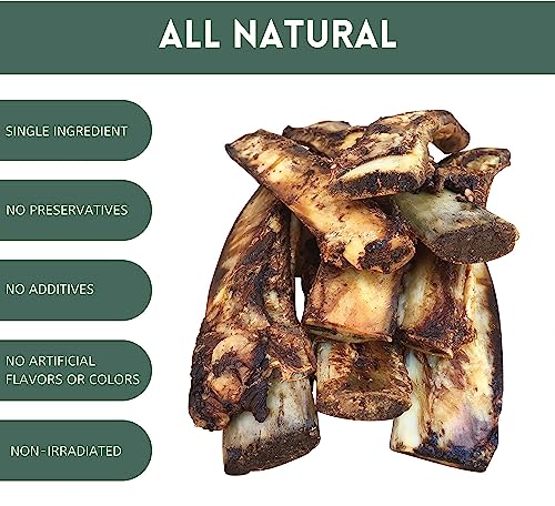 K9 Connoisseur Single Ingredient Dog Bones Made In USA From Grass Fed Cattle 8 To 10 Inch Long All Natural Meaty Rib Marrow Filled Bone Chew Treat Best For Medium Breed Dogs Best Upto 50 Pounds 8 Pack