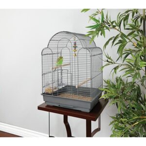 you & me parakeet scallop top cage