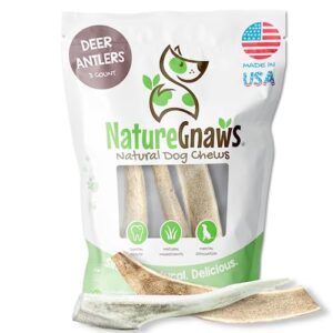 nature gnaws deer antlers for small dogs - premium natural usa antler - long lasting dog chews for aggressive chewers - mix of split and whole - 4-7 inch