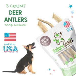 Nature Gnaws Deer Antlers for Small Dogs - Premium Natural USA Antler - Long Lasting Dog Chews for Aggressive Chewers - Mix of Split and Whole - 4-7 Inch