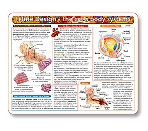 Feline Design-The Cat's Body Systems - A Double-Sided, Laminated Cat Anatomy Chart: A Learning and Teaching Chart